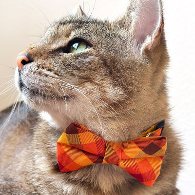 Bow Tie Cat Collar Set - "Cinnamon" - Orange, Red & Gold Plaid Cat Collar w/ Matching Bowtie / Fall + Thanksgiving / Cat, Kitten, Small Dog Sizes