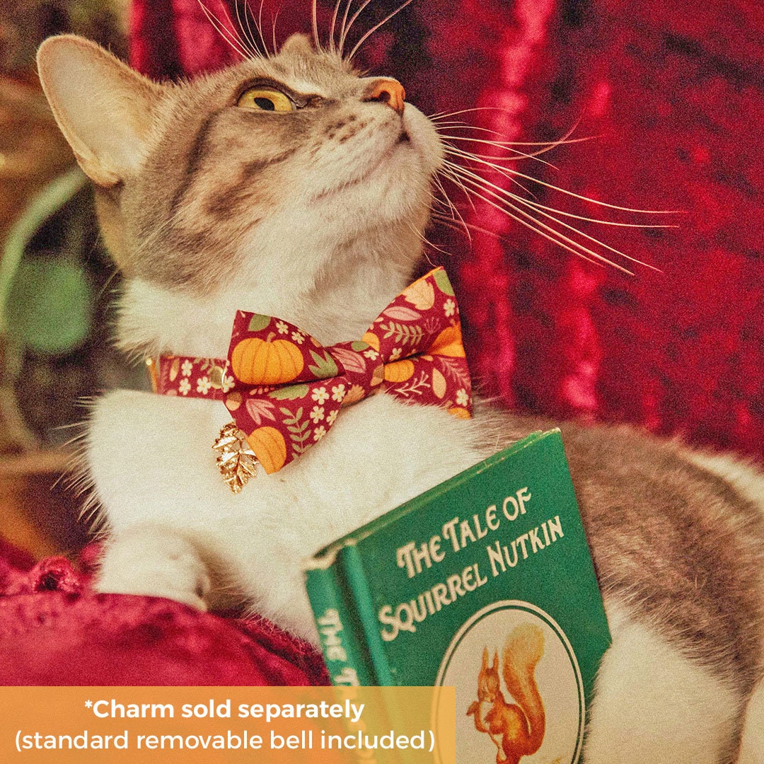 Bow Tie Cat Collar Set - "Pumpkin Patch - Cranberry" - Burgundy Fall Harvest Cat Collar w/ Matching Bowtie / Cat, Kitten, Small Dog Sizes