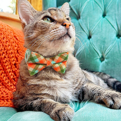 Bow Tie Cat Collar Set - "Scenic Route" - Aqua, Green & Orange Plaid Cat Collar w/ Matching Bowtie / Cat, Kitten, Small Dog Sizes
