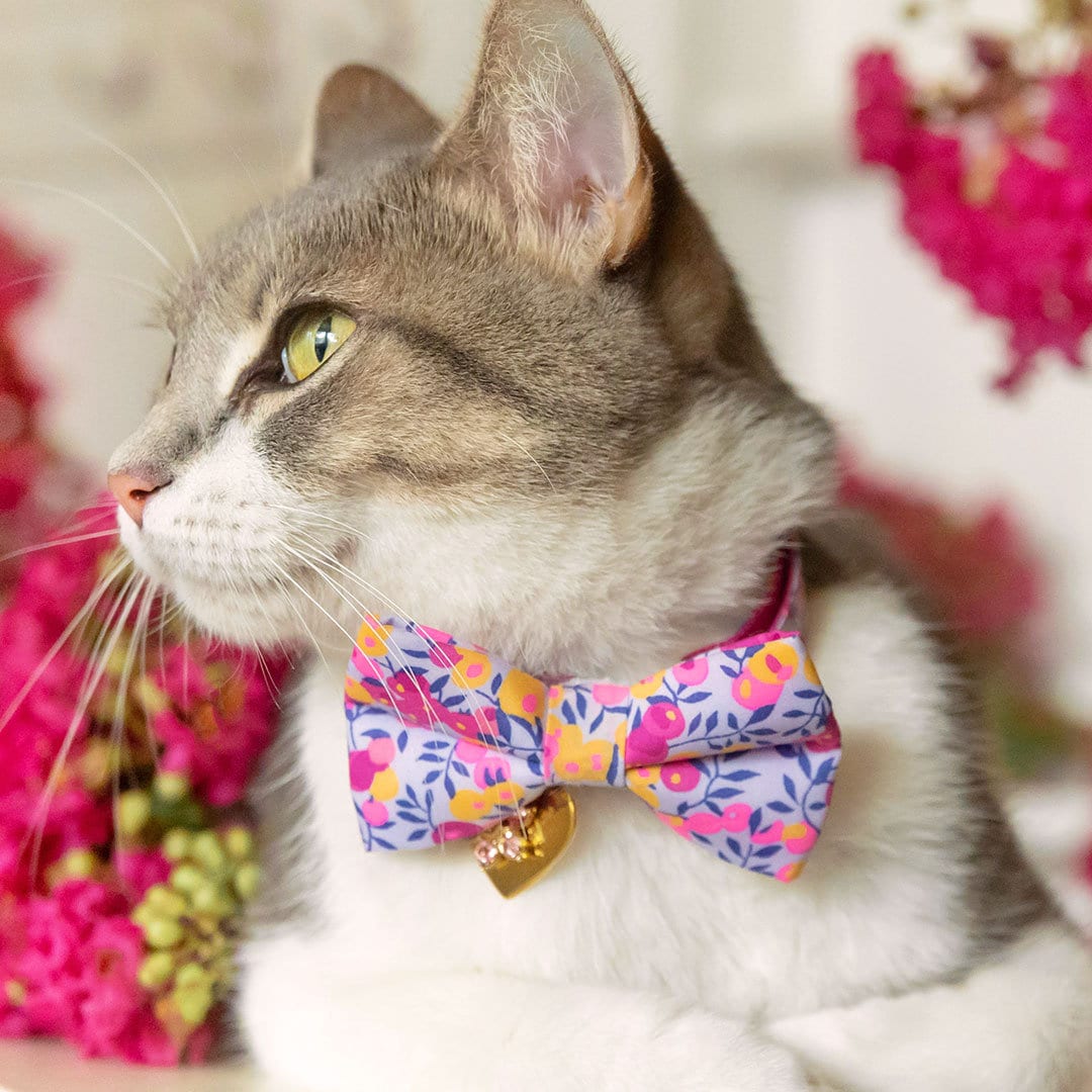 Pet Bow Tie - Color Collection - Pastel Pink - Baby Pink Cat Collar Bow  Tie / Kitten Bow / Dog Bowtie / Wedding / Removable (One Size)