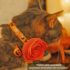 Cat Collar + Flower Set - "Spooky Spiderwebs" - Halloween Glow-in-the-Dark Cat Collar w/ Orange Felt Flower (Detachable)