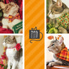 Cat Collar + Flower Set - "Scenic Route" - Aqua, Green & Orange Plaid Cat Collar w/ Mint Felt Flower (Detachable)