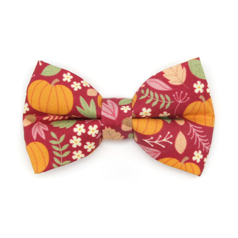 Pet Bow Tie - "Pumpkin Patch - Cranberry" - Burgundy Autumn Harvest Cat Bow / Fall + Thanksgiving / For Cats + Small Dogs (One Size)