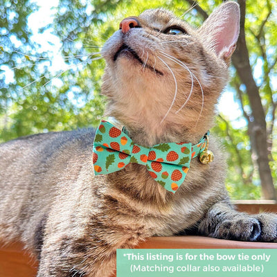 Pet Bow Tie - "Woodland - Sky" - Pine Cones, Leaves & Acorns Turquoise Blue Cat Bow / For Cats + Small Dogs (One Size)