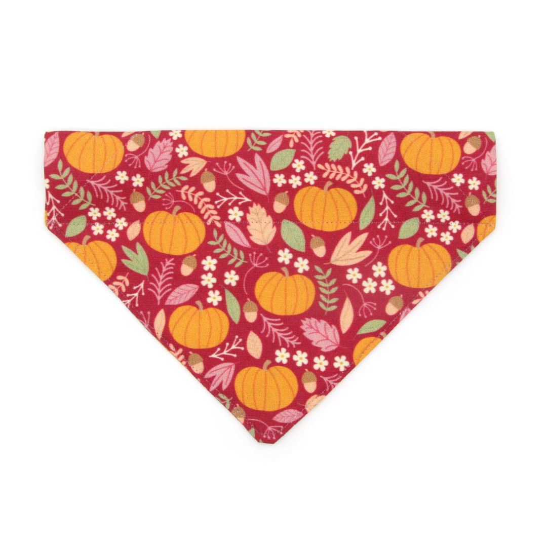 Pet Bandana - "Pumpkin Patch - Cranberry" - Burgundy Autumn Harvest Bandana for Cat + Small Dog / Slide-on Bandana / Over-the-Collar (One Size)