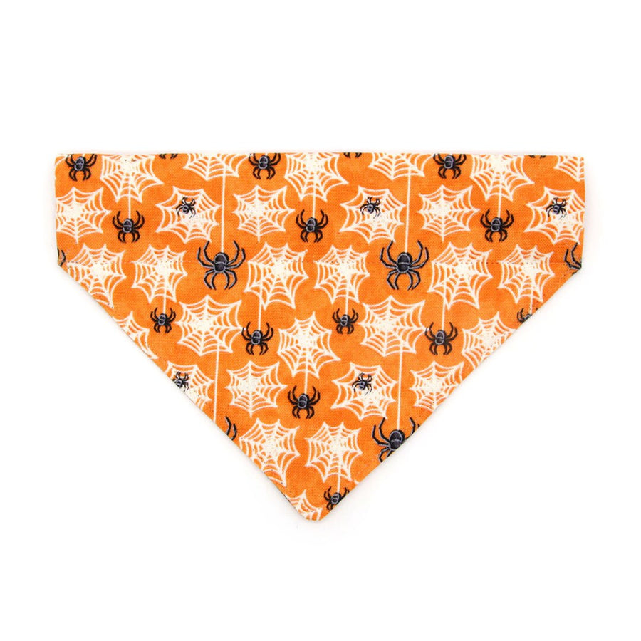 Pet Bandana - "Spooky Spiderwebs" - Halloween Glow-in-the-Dark Bandana for Cat + Small Dog / Slide-on Bandana / Over-the-Collar (One Size)