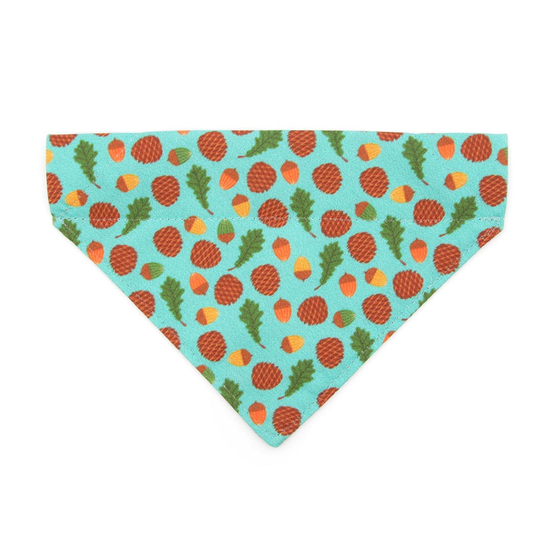 Pet Bandana - "Woodland - Sky" - Pine Cones, Leaves & Acorns Turquoise Blue Bandana for Cat + Small Dog / Slide-on Bandana / Over-the-Collar (One Size)