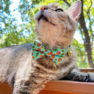 Cat Collar - "Woodland - Sky" - Pine Cones, Leaves & Acorns Turquoise Blue Cat Collar / Breakaway Buckle or Non-Breakaway / Cat, Kitten + Small Dog Sizes