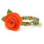 Cat Collar + Flower Set - "Woodland - Moss" - Pine Cones, Leaves & Acorns Forest Green Cat Collar w/ Orange Felt Flower (Detachable)