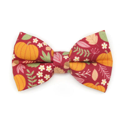 Bow Tie Cat Collar Set - "Pumpkin Patch - Cranberry" - Burgundy Fall Harvest Cat Collar w/ Matching Bowtie / Cat, Kitten, Small Dog Sizes