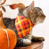 Pet Bandana - "Cinnamon" - Orange, Red & Gold Fall Plaid Bandana for Cat + Small Dog / Autumn + Thanksgiving / Slide-on Bandana / Over-the-Collar (One Size)