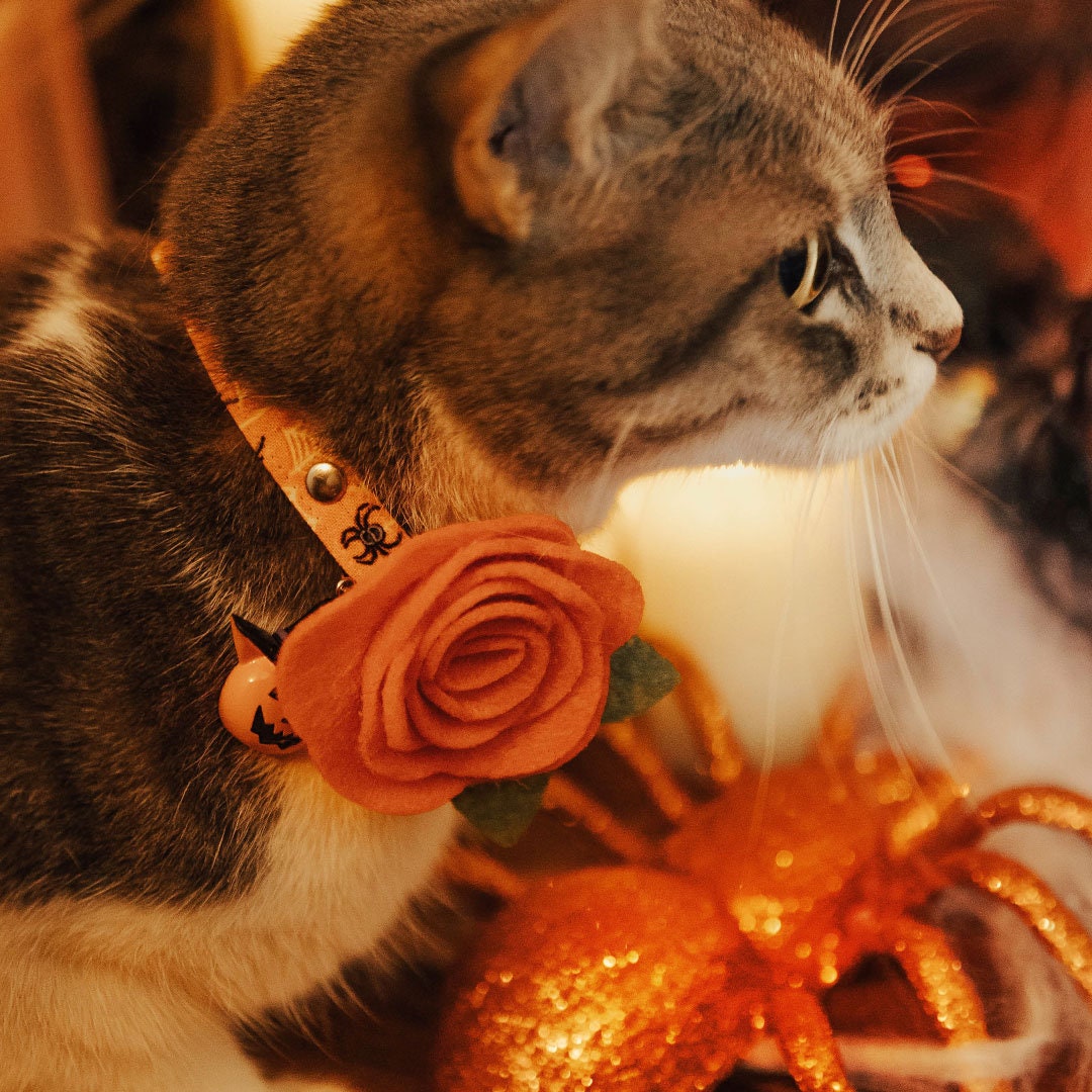 Cat Collar + Flower Set - "Spooky Spiderwebs" - Halloween Glow-in-the-Dark Cat Collar w/ Orange Felt Flower (Detachable)