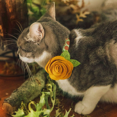 Cat Collar + Flower Set - "Woodland - Moss" - Pine Cones, Leaves & Acorns Forest Green Cat Collar w/ Mustard Felt Flower (Detachable)