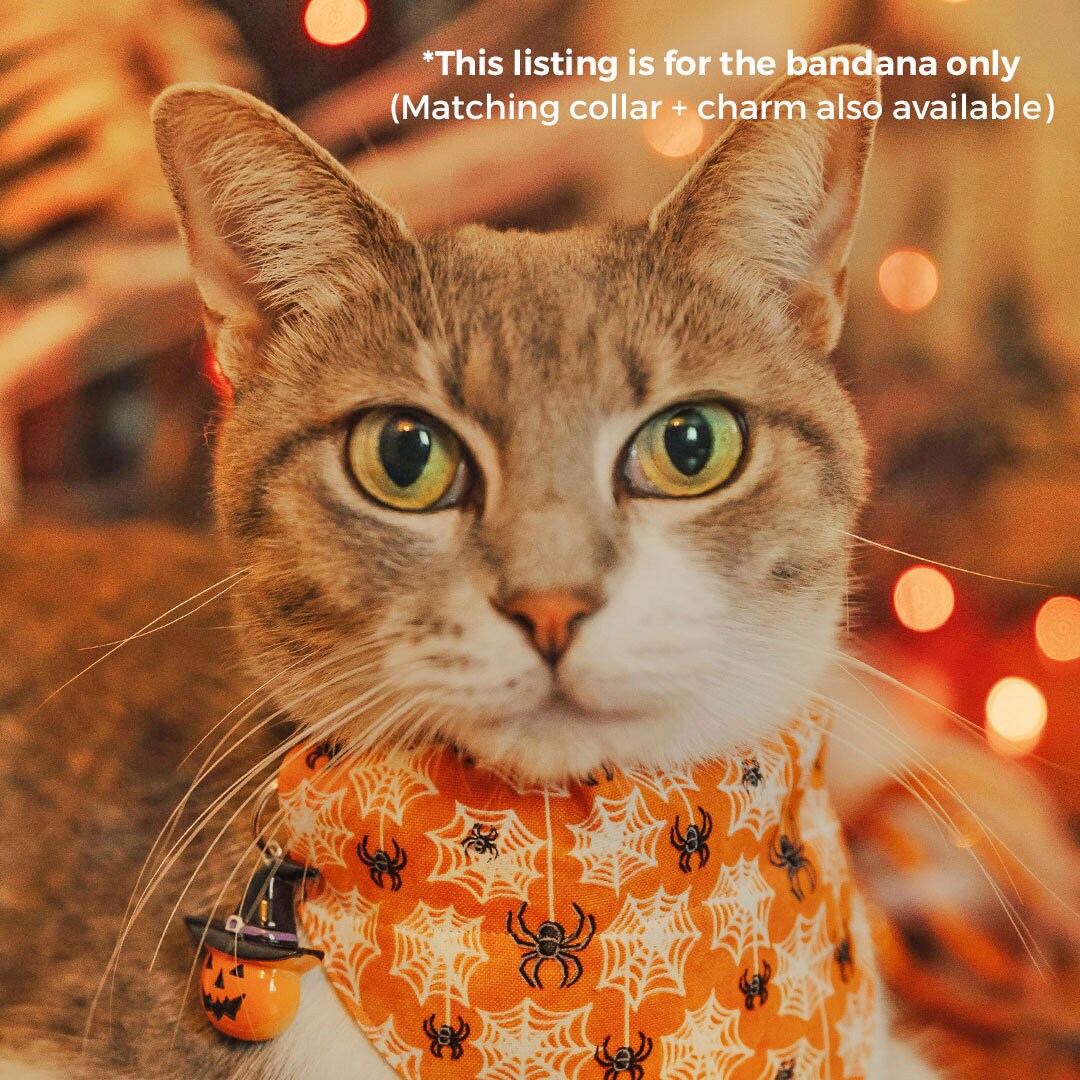 Pet Bandana - "Spooky Spiderwebs" - Halloween Glow-in-the-Dark Bandana for Cat + Small Dog / Slide-on Bandana / Over-the-Collar (One Size)