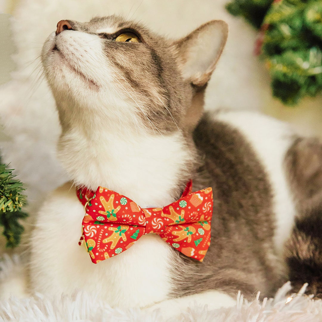 Bow Tie Cat Collar Set - "Christmas Treats - Red" - Gingerbread Holiday Cat Collar w/ Matching Bowtie / Cat, Kitten, Small Dog Sizes