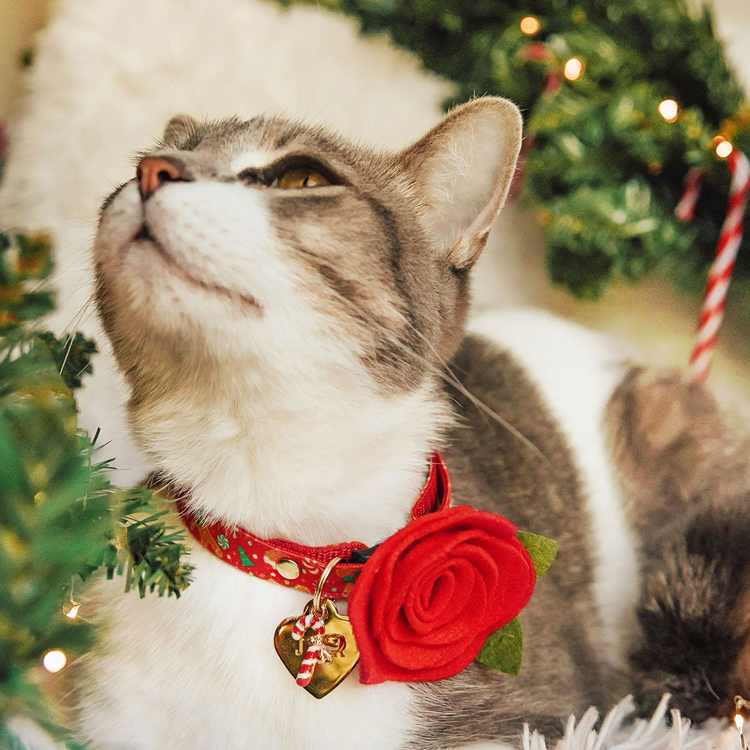 Cat Collar - "Christmas Treats - Red" - Gingerbread Cat Collar / Breakaway Buckle or Non-Breakaway / Cat, Kitten + Small Dog Sizes
