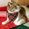 Pet Bandana - "Canterbury" - Holiday Tartan Plaid Bandana for Cat + Small Dog / Christmas / Slide-on Bandana / Over-the-Collar (One Size)