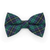 Pet Bow Tie - "Hunter" - Dark Green Tartan Plaid Cat Bow Tie / Christmas, Holiday, Winter, Scottish / For Cats + Small Dogs (One Size)