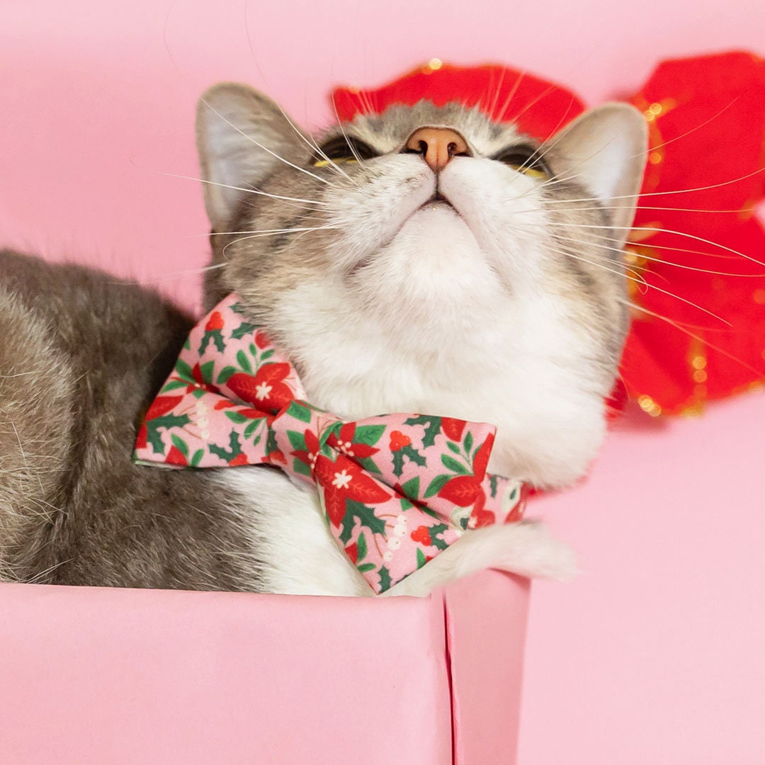 Cat Collar - "Winter Blooms - Pink" - Christmas Poinsettia Cat Collar / Holiday Floral / Breakaway Buckle or Non-Breakaway / Cat, Kitten + Small Dog Sizes