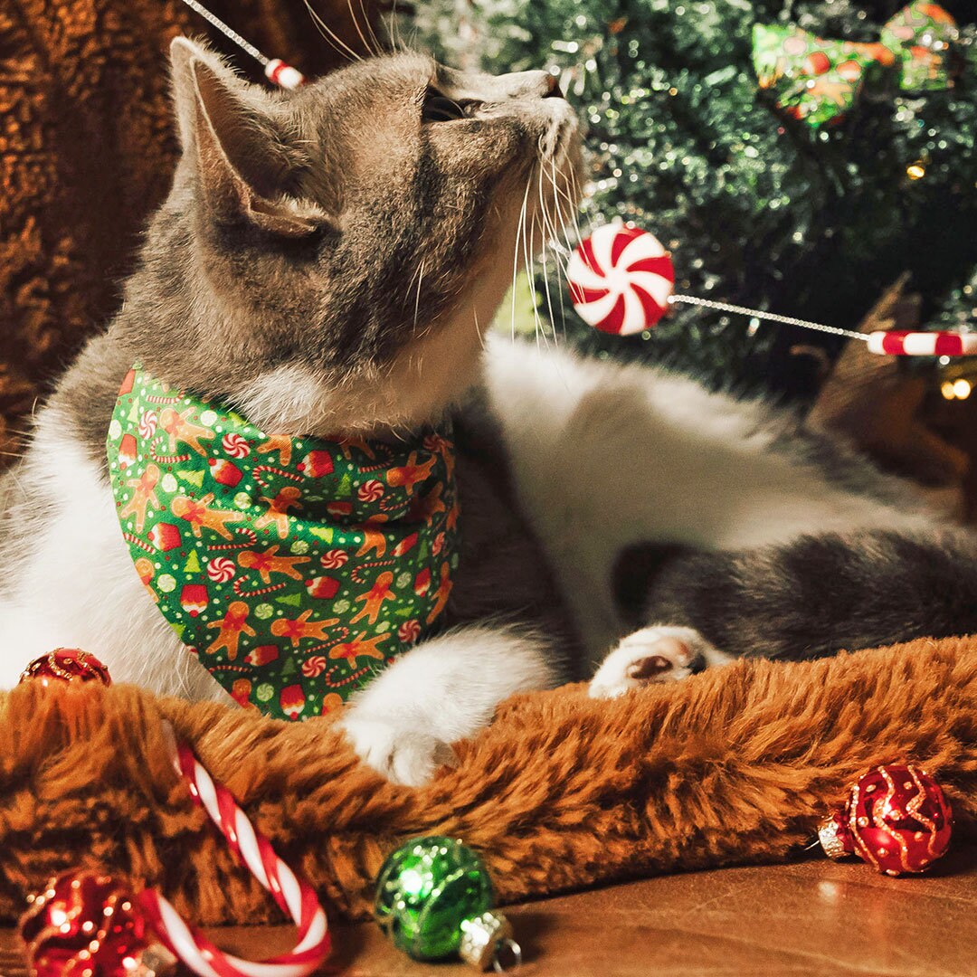 Pet Bandana - "Christmas Treats - Green" - Holiday Gingerbread Bandana for Cat + Small Dog / Slide-on Bandana / Over-the-Collar (One Size)