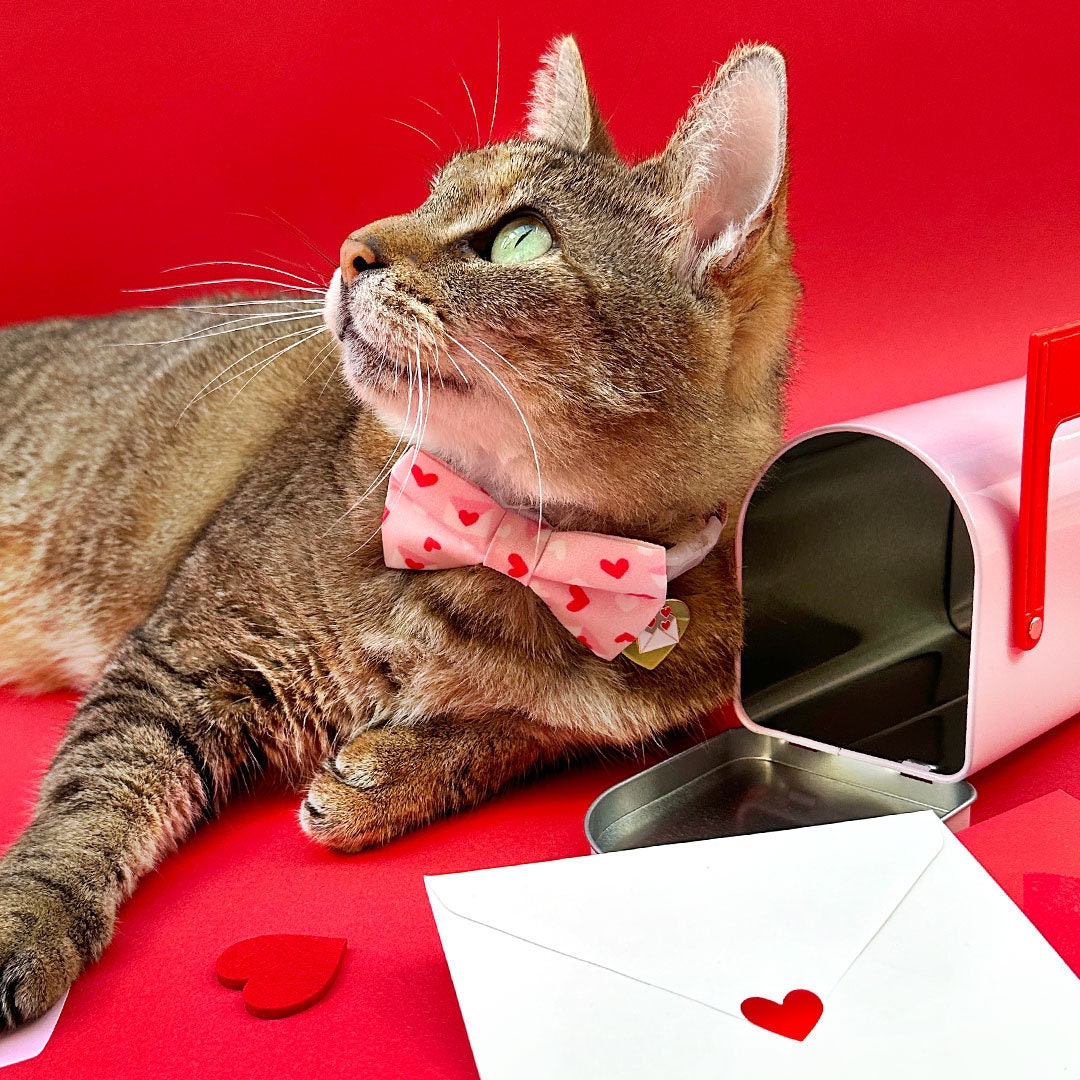 Cat Collar - "Sealed With A Kiss" - Pink Valentine's Day Cat Collar / Love Letter, Heart Mail / Breakaway Buckle or Non-Breakaway / Cat, Kitten + Small Dog Sizes