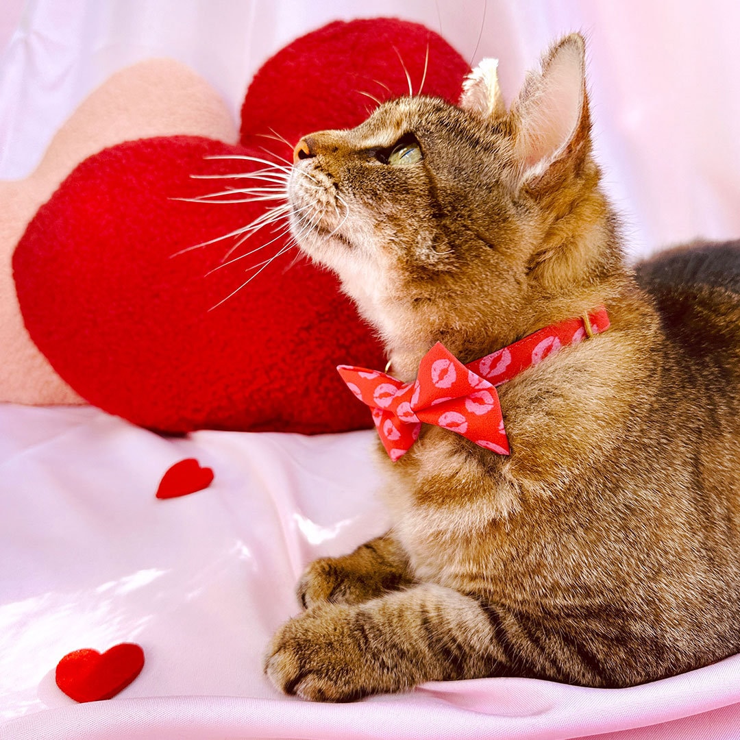 Pet Bow Tie - "Pucker Up" - Pink & Red Lipstick Kisses Cat Bow Tie / Valentine's Day / For Cats + Small Dogs (One Size)