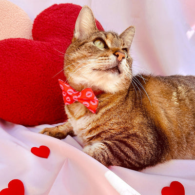 Pet Bow Tie - "Pucker Up" - Pink & Red Lipstick Kisses Cat Bow Tie / Valentine's Day / For Cats + Small Dogs (One Size)