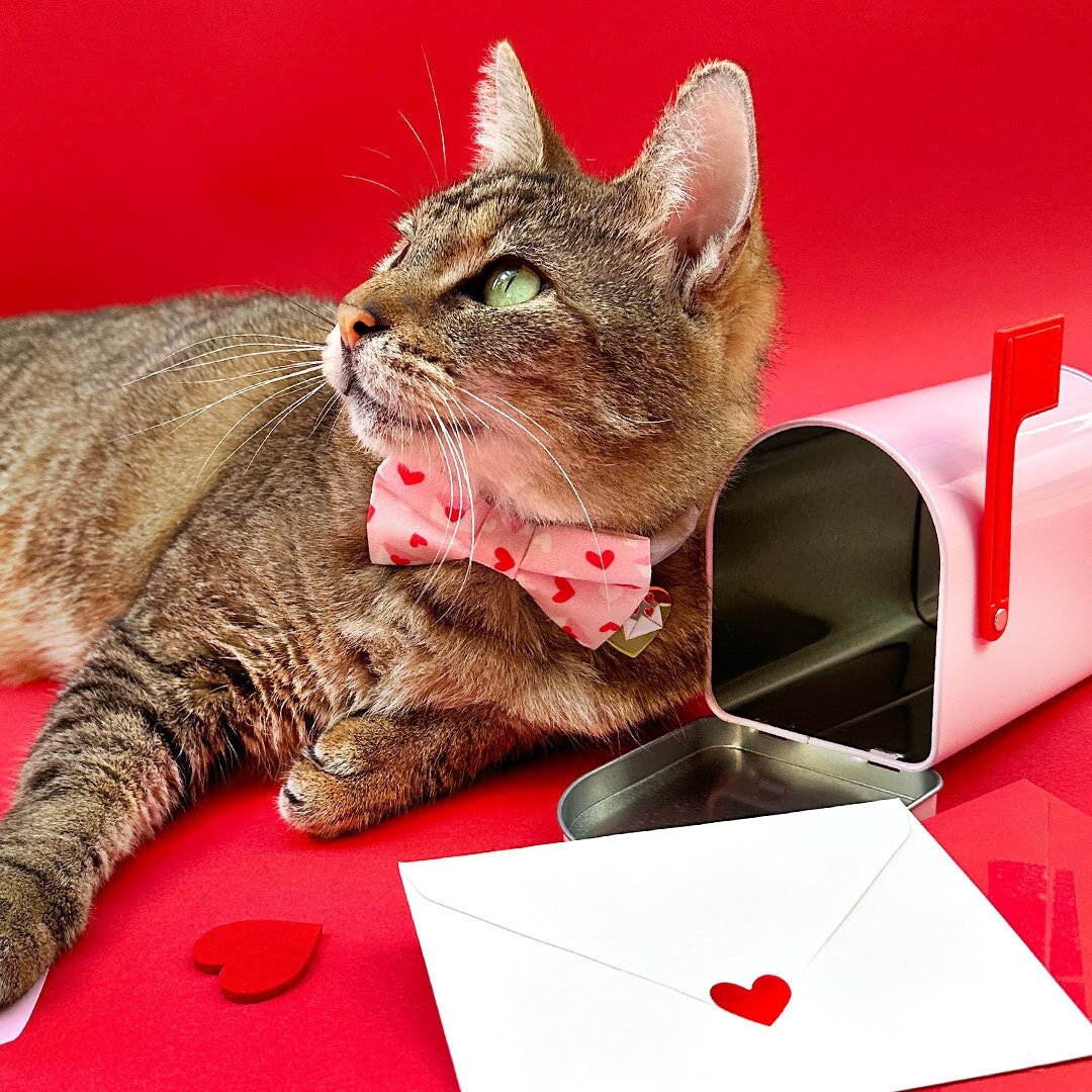 Bow Tie Cat Collar Set - "Sealed With A Kiss" - Pink Valentine's Day Cat Collar w/ Matching Bowtie / Love Letter Heart Mail / Cat, Kitten, Small Dog Sizes