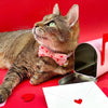 Bow Tie Cat Collar Set - "Sealed With A Kiss" - Pink Valentine's Day Cat Collar w/ Matching Bowtie / Love Letter Heart Mail / Cat, Kitten, Small Dog Sizes