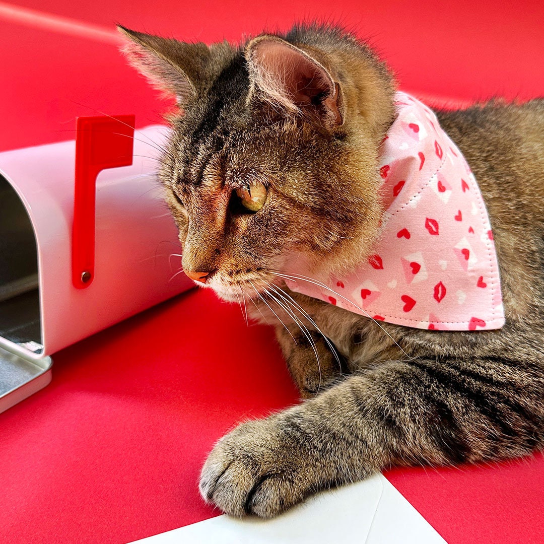 Pet Bandana - "Sealed With A Kiss" - Valentine's Day Bandana for Cat + Small Dog / Pink Love Letter Mail / Slide-on Bandana / Over-the-Collar (One Size)