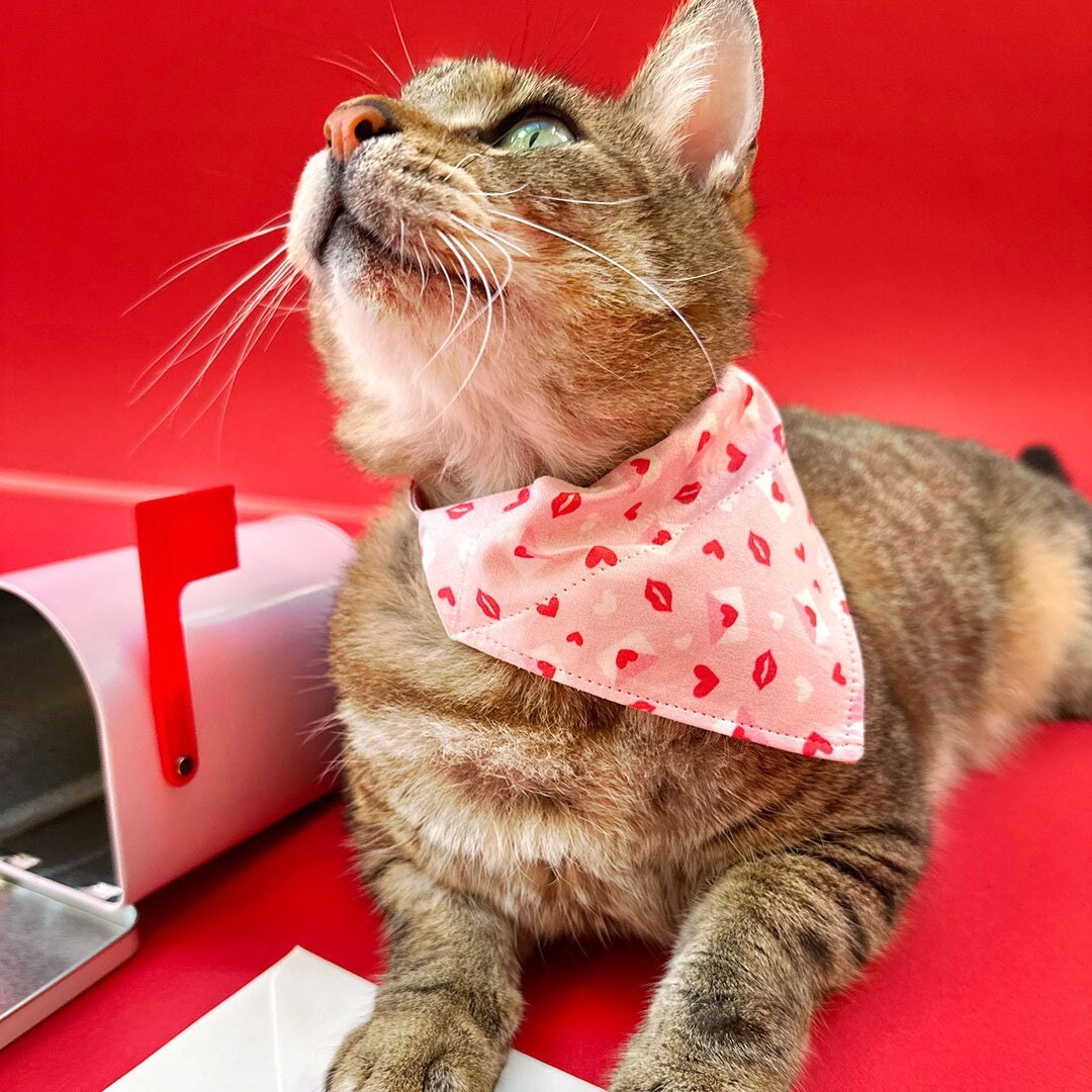 Pet Bandana - "Sealed With A Kiss" - Valentine's Day Bandana for Cat + Small Dog / Pink Love Letter Mail / Slide-on Bandana / Over-the-Collar (One Size)