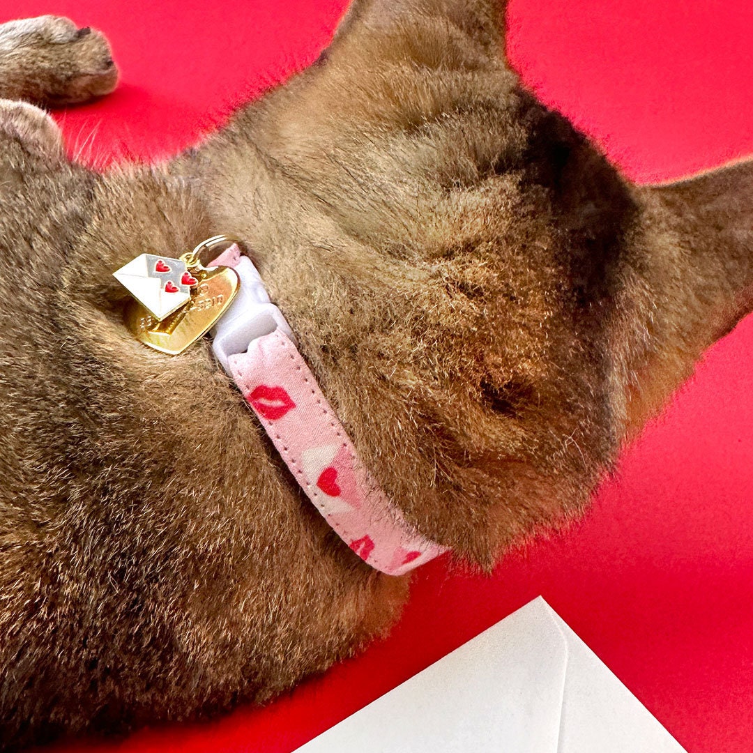 Cat Collar - "Sealed With A Kiss" - Pink Valentine's Day Cat Collar / Love Letter, Heart Mail / Breakaway Buckle or Non-Breakaway / Cat, Kitten + Small Dog Sizes
