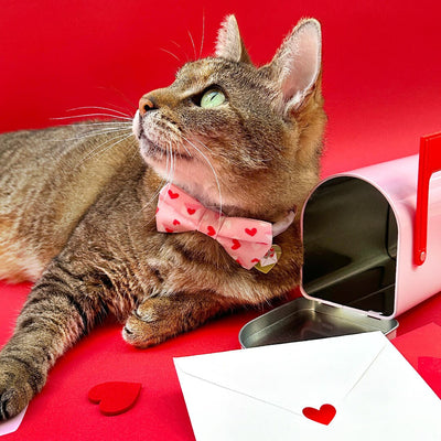 Pet Bow Tie - "Sealed With A Kiss" - Pink Love Letter Cat Bow Tie / Valentine's Day, Heart Mail / For Cats + Small Dogs (One Size)