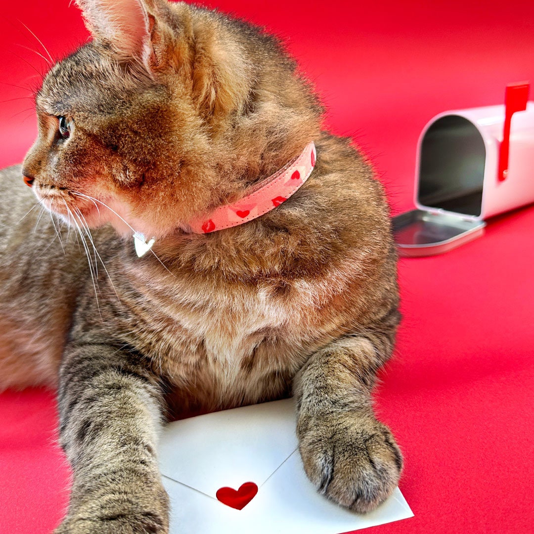 Bow Tie Cat Collar Set - "Sealed With A Kiss" - Pink Valentine's Day Cat Collar w/ Matching Bowtie / Love Letter Heart Mail / Cat, Kitten, Small Dog Sizes