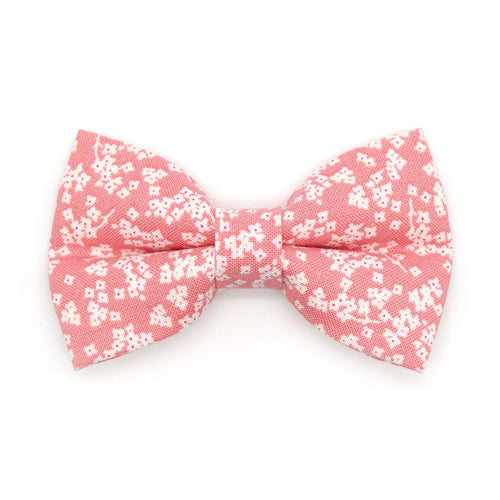 Pet Bow Tie - "Sakura" - Cherry Blossom Pink Floral Bow Tie / Spring, Easter, Wedding / For Cats + Small Dogs (One Size)