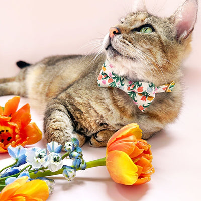 Bow Tie Cat Collar Set - "Tulip Fields - Cream" - Rifle Paper Co® Fabric Floral Cat Collar w/ Matching Bowtie / Spring, Easter / Cat, Kitten, Small Dog Sizes