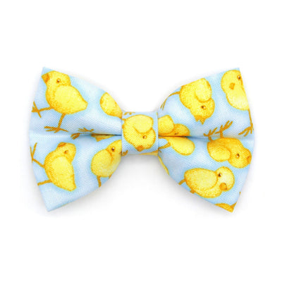 Pet Bow Tie - "Spring Chicks - Blue" - Easter Light Blue Bow Tie / Spring, Baby Chick, It's A Boy / For Cats + Small Dogs (One Size)