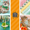 Cat Collar + Flower Set - "Derby" - Gingham Plaid Green Cat Collar w/ Clover Green Felt Flower (Detachable)