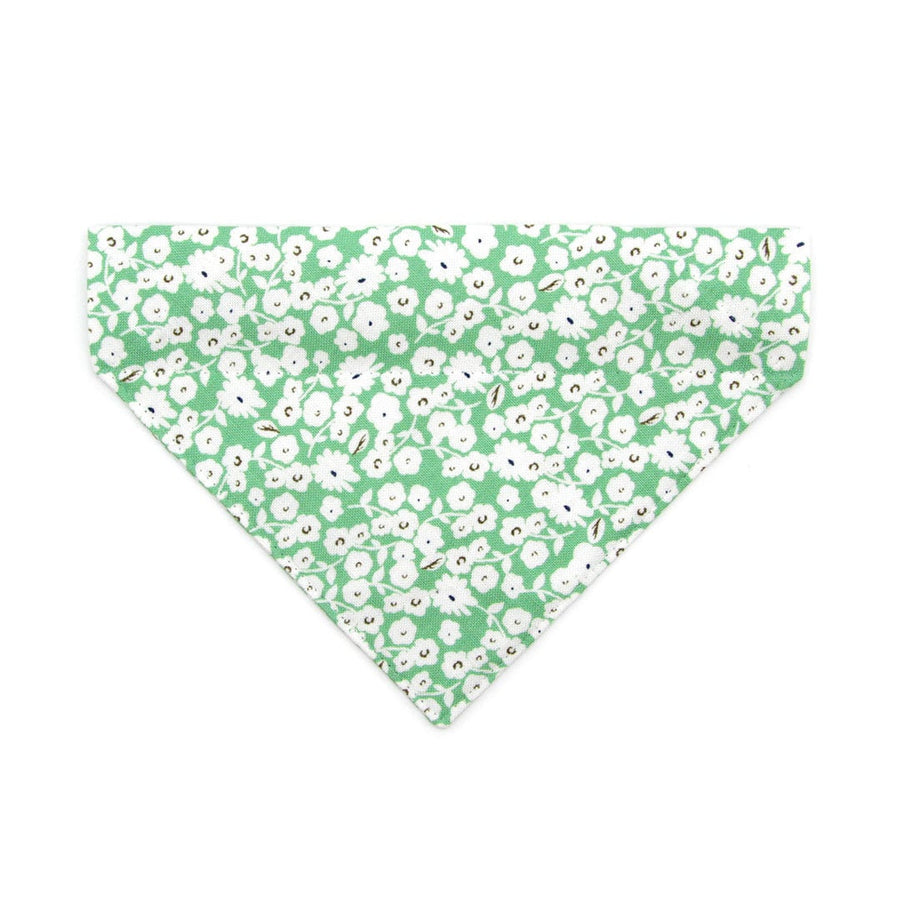 Pet Bandana - "Apple Blossom" - Pastel Green Floral Bandana for Cat + Small Dog / Spring, Easter, St. Patrick's, Summer / Slide-on Bandana / Over-the-Collar (One Size)