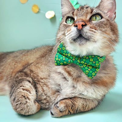 Cat Collar - "Clover Leaf" - St. Patrick's Day Green & Gold Cat Collar / Shamrock, Irish, Lucky / Breakaway Buckle or Non-Breakaway / Cat, Kitten + Small Dog Sizes