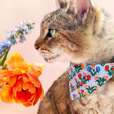 Pet Bandana - "Tulip Fields - Periwinkle" - Rifle Paper Co® Blue Floral Bandana for Cat + Small Dog / Spring, Easter / Slide-on Bandana / Over-the-Collar (One Size)