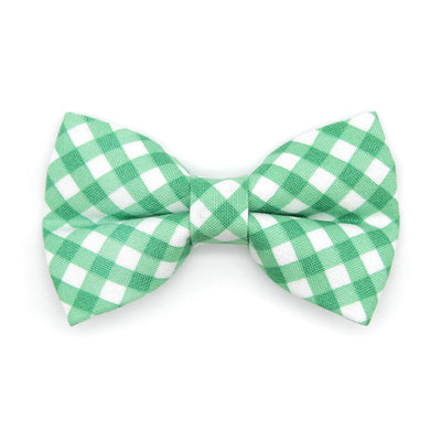 Bow Tie Cat Collar Set - "Derby" - Gingham Plaid Green Cat Collar w/ Matching Bowtie / Spring, St. Patrick's Day, Wedding / Cat, Kitten, Small Dog Sizes