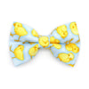 Bow Tie Cat Collar Set - "Spring Chicks - Blue" - Easter Light Blue Cat Collar w/ Matching Bowtie / It's A Boy / Cat, Kitten, Small Dog Sizes