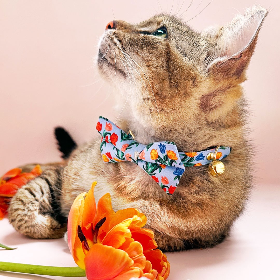 Bow Tie Cat Collar Set - "Tulip Fields - Periwinkle" - Rifle Paper Co® Fabric Blue Floral Cat Collar w/ Matching Bowtie / Spring, Easter / Cat, Kitten, Small Dog Sizes