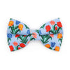 Pet Bow Tie - "Tulip Fields - Periwinkle" - Rifle Paper Co® Blue Floral Bow Tie / Spring, Easter / For Cats + Small Dogs (One Size)